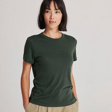 Camiseta Allbirds Sea Mujer Verdes | MX4738UT