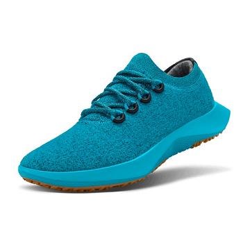 Tenis Para Correr Allbirds Lana Dasher Mizzles Hombre Azules | MX4140IS