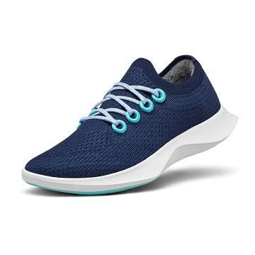 Tenis Para Correr Allbirds Tree Dasher 1 Hombre Azules Blancos | MX4165IS