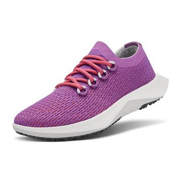 Tenis Para Correr Allbirds Tree Dasher 2 Hombre Morados | MX4189AP