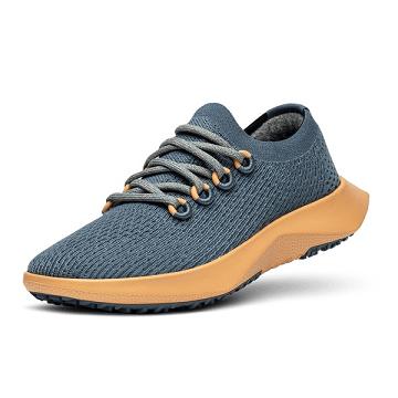 Tenis Para Correr Allbirds Tree Dasher 2 Hombre Azules Amarillos | MX4198WY