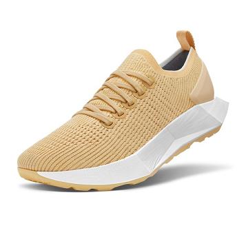 Tenis Para Correr Allbirds Tree Flyers Hombre Beige | MX4181KI