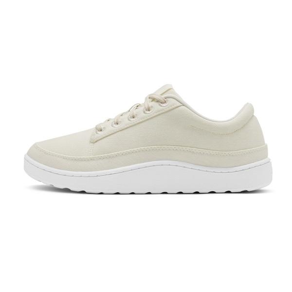 Tenis Allbirds Lona Pacers Hombre Beige Blancos | MX4004DN