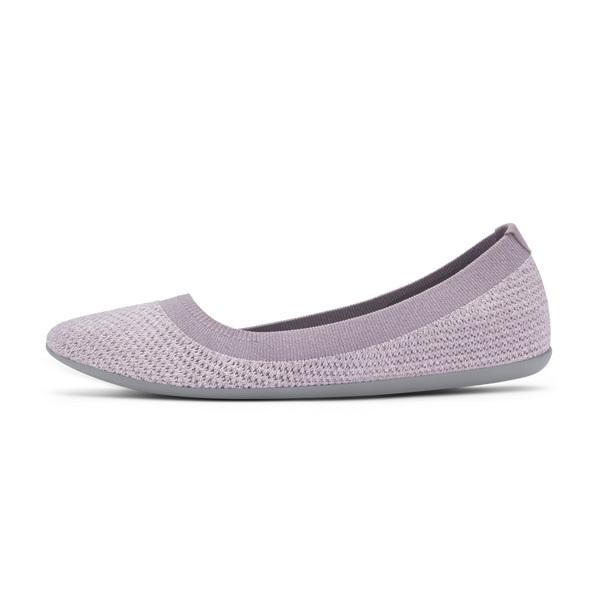 Tenis Planos Allbirds Tree Breezers Mujer Morados | MX4666WY