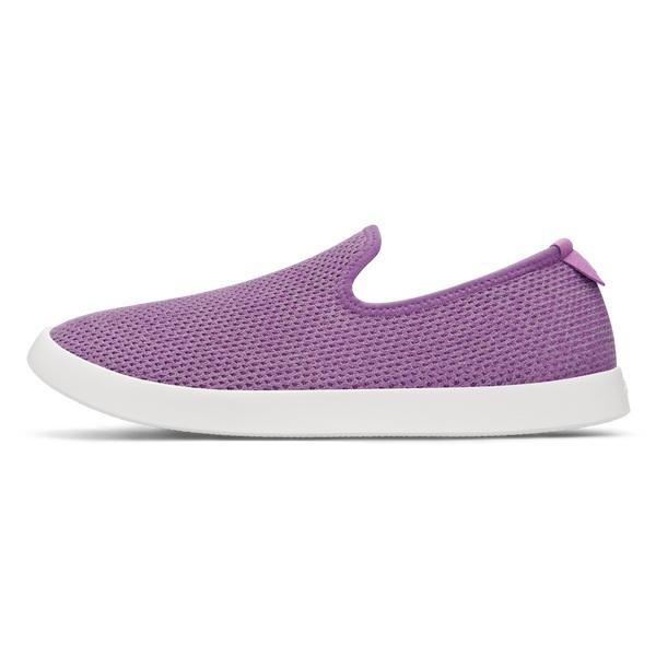 Tenis Slip On Allbirds Tree Loungers Hombre Morados Blancos | MX4101DN